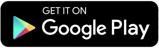 Google Store