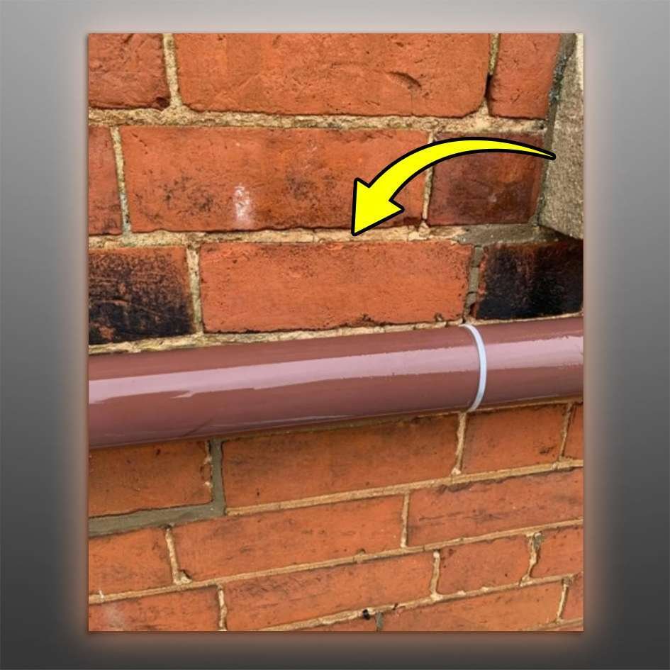 HFRestorer Pro - Image 4