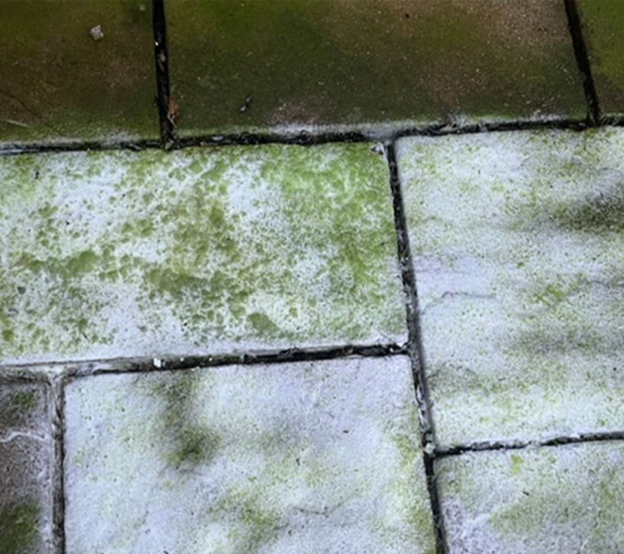 OxiWash Pro - Image 4