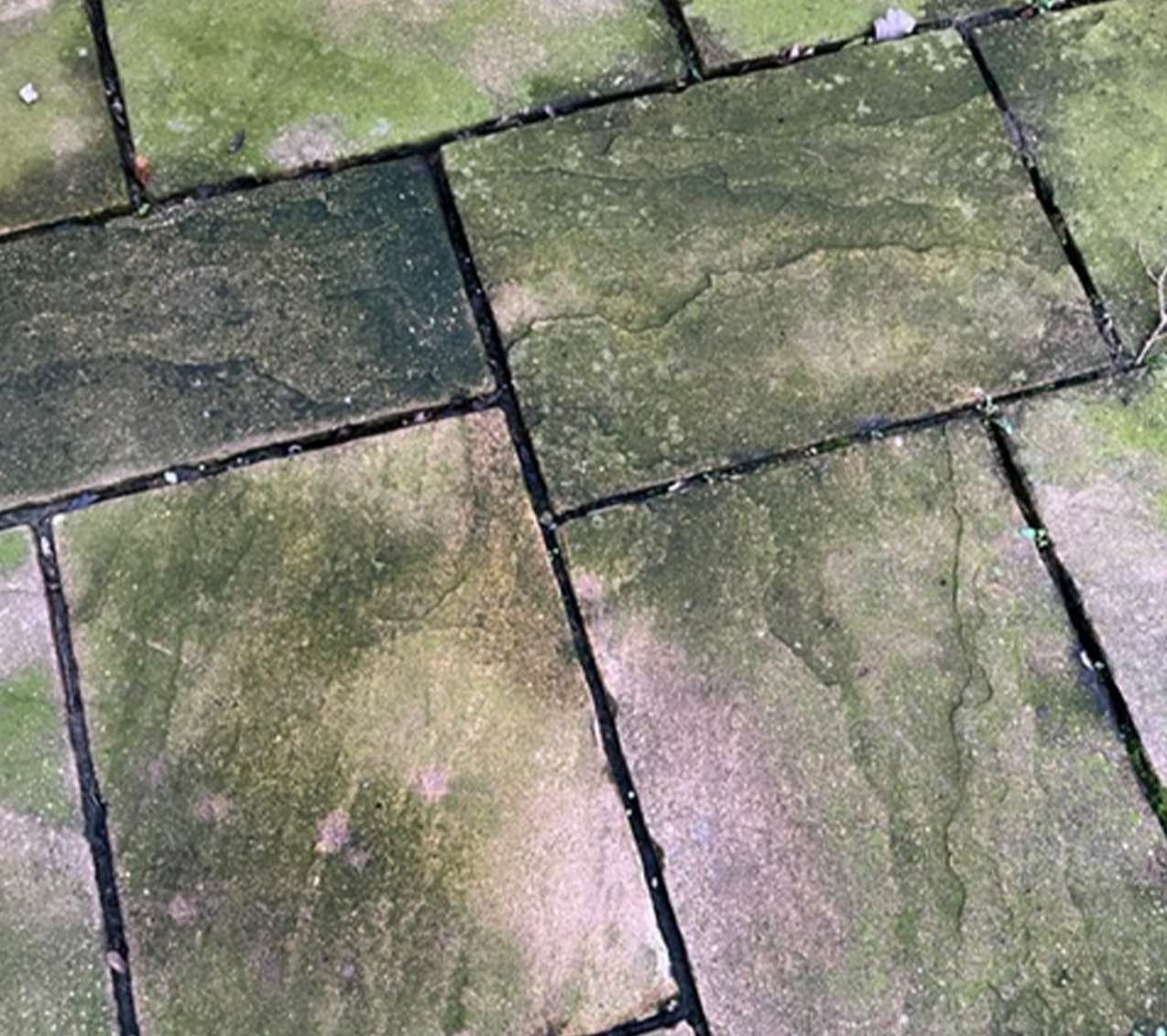 OxiWash Pro - Image 6